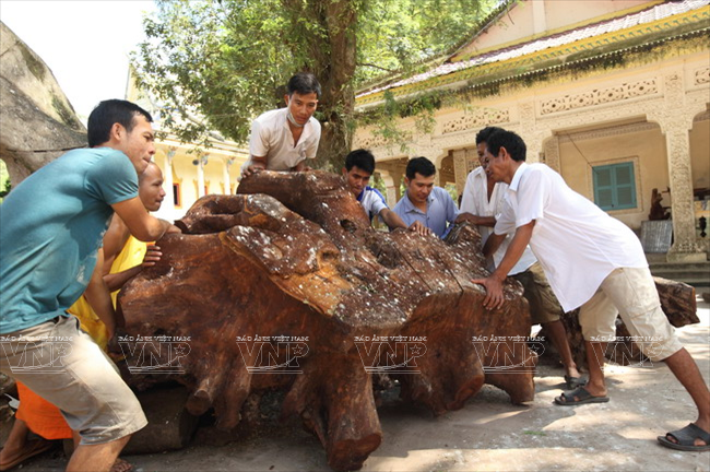 Vocational training at a Buddhist pagoda - ảnh 1